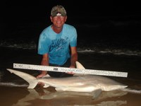 Sharkaholics - David Crain