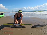 Team Rockstar - Dani Zirkel