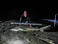 Fishing Locos - Mark Cano