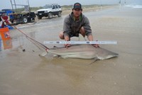 RRMJ Shark Fishing - Michael Leist
