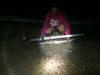 Team JackWagon - Kimberly Collier