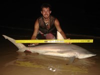 Sharkaholics - Zach Crain