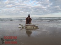 Team Rockstar - Brad Tabor