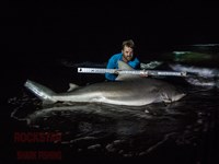 Team Rockstar - Brad Tabor