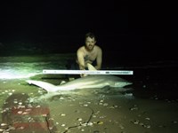 Team Rockstar - Brad Tabor