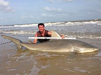 Sharkaholics - Zach Crain