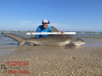 Team Rockstar - Eric Ozolins