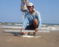 Sharkaholics - David Crain