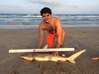 Wet Dreams - Dillon Rosenbam