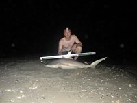 CatchSharks - Matt Hyde