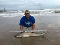 Down South Hook Setters - juan cisneros