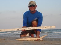 Sharkaholics - David Crain