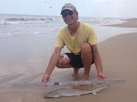 Sharkaholics - David Crain