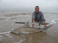 CatchSharks - Steven Kennedy