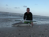 CatchSharks - Steven Kennedy