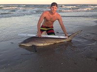 Hammerhead Mafia  - Ryan  dibble