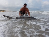 Keep It Reel - Kelley  O'Brien