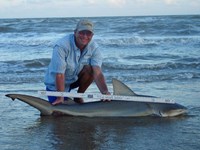 Sharkaholics - David Crain