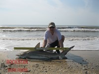 Team Rockstar - Scott Nelson