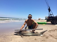 Hammerhead Mafia  - rolland hyatt