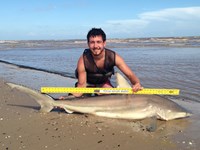 Sharkaholics - Zach Crain