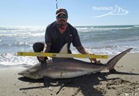 Down South Hook Setters - raul hernandez