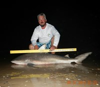 Keep It Reel - Ryan  Lee