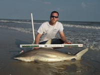 CatchSharks - Matt Hyde