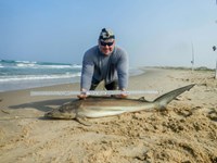 Fishing Locos - Mark Cano