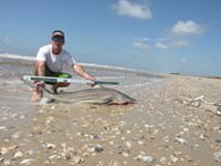 CatchSharks - Steven Kennedy