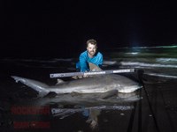 Team Rockstar - Brad Tabor