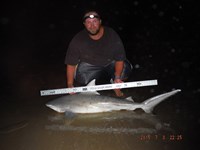 Team Southern Sharkers - Donnie Tidwell