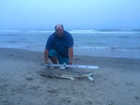 Hammerhead Mafia  - micah  Underwood 