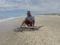 SCREAMING CHICHARRAS - JULIAN GUERRA