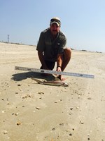 Stacking Gills - Peter  Counahan