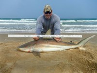 Fishing Locos - Mark Cano