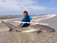 Sharkaholics - Zach Crain