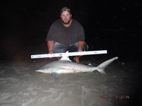 Team Southern Sharkers - Donnie Tidwell