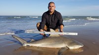 Boca Chica Beach Legends - Joe  Gonzalez