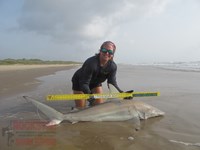 Team Rockstar - Dani Zirkel