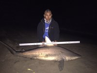 Fishing Locos - JP Cantu