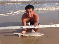 Sharkaholics - Zach Crain