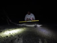 Tactical Anglers Group  - Rocky Guerra