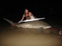 Hammerhead Mafia  - Eddie Collins