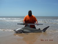 Team Southern Sharkers - Eduardo Mejia