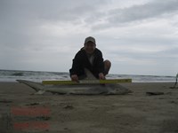 Team Rockstar - Scott Nelson