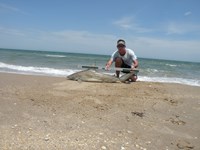 CatchSharks - Steven Kennedy