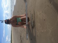 South Texas Shark Wranglers  - Emily Quinn