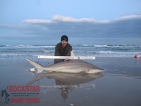 Team Rockstar - Brad Tabor