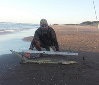 Southern Shark  Outcasts  - Jesse Garza